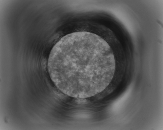 X0000096950767200803071028