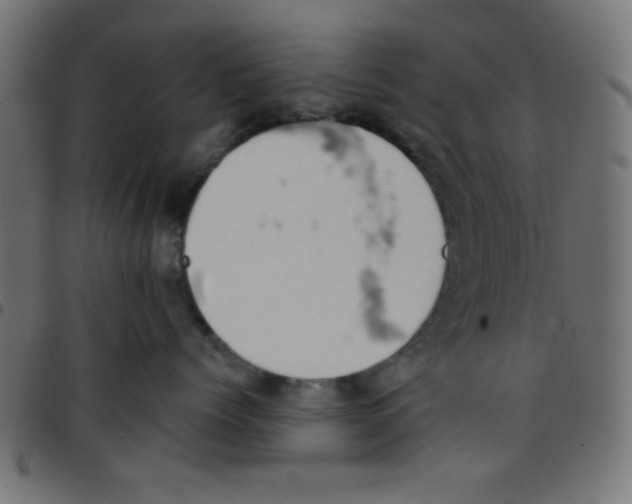 X0000096950768200803071028