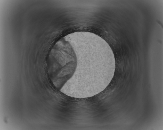 X0000096950769200803071027