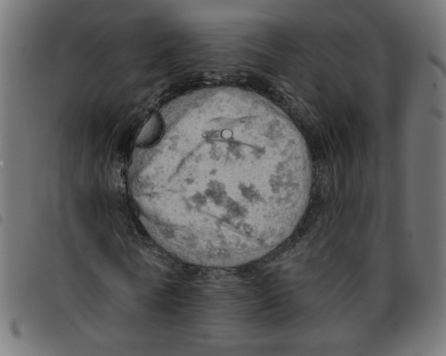 X0000096950770200803071027