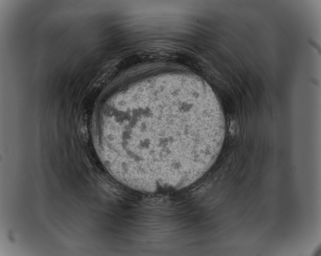 X0000096950771200803071027