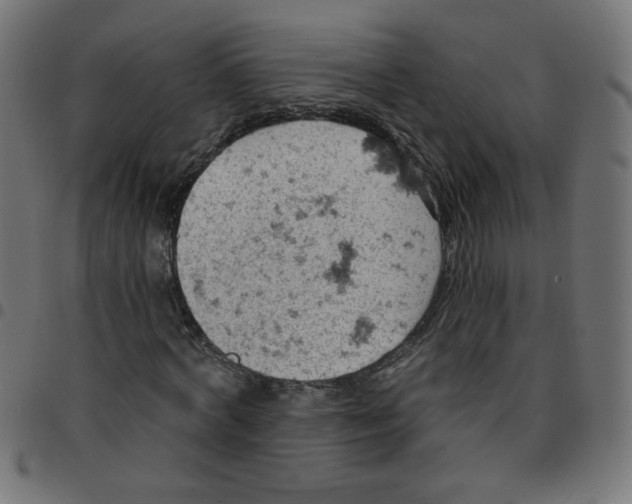 X0000096950772200803071027