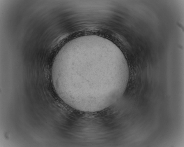 X0000096950773200803071027