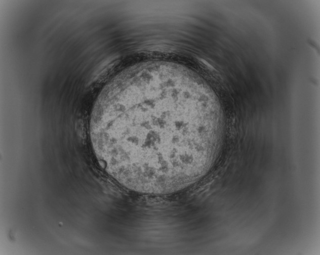 X0000096950774200803071027
