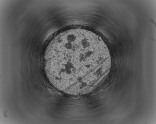 X0000096950775200803071027
