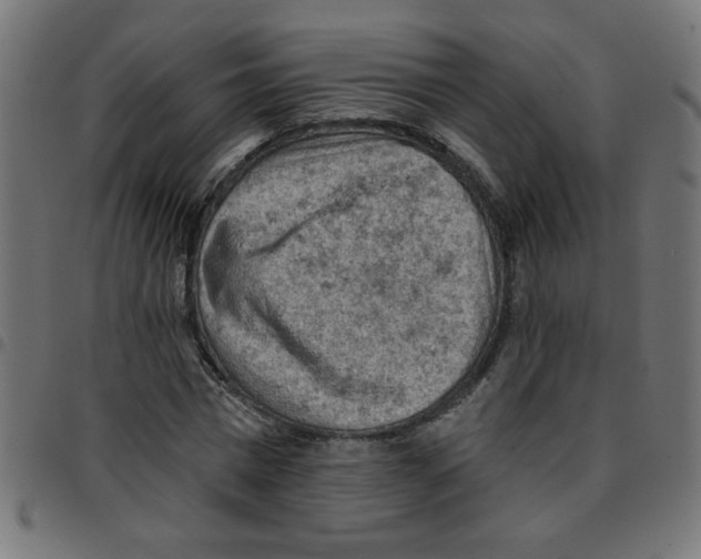 X0000096950777200803071027