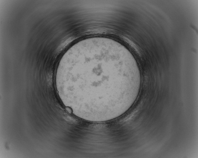 X0000096950778200803071027