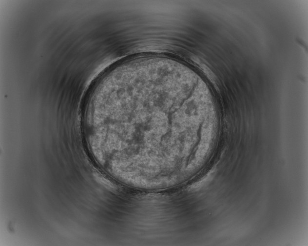 X0000096950779200803071027