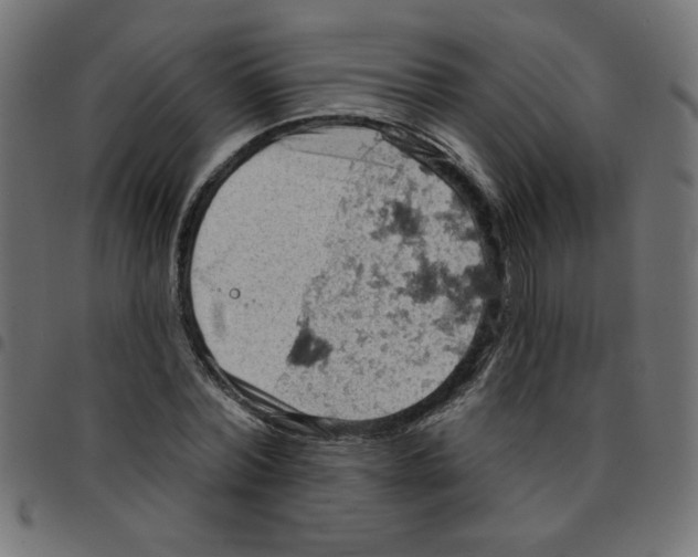 X0000096950780200803071027
