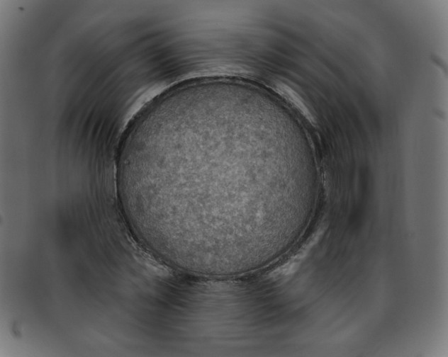 X0000096950781200803071027
