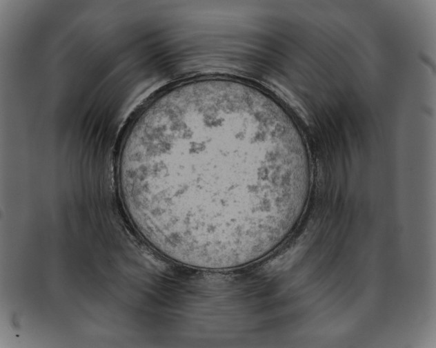 X0000096950782200803071027