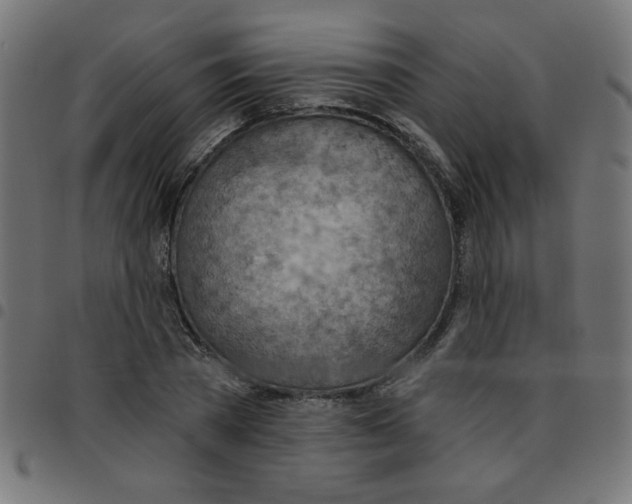 X0000096950785200803071027