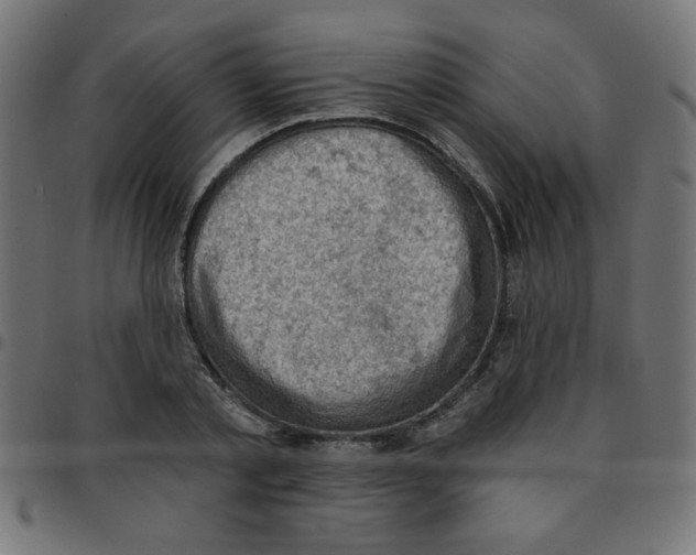X0000096950789200803071027