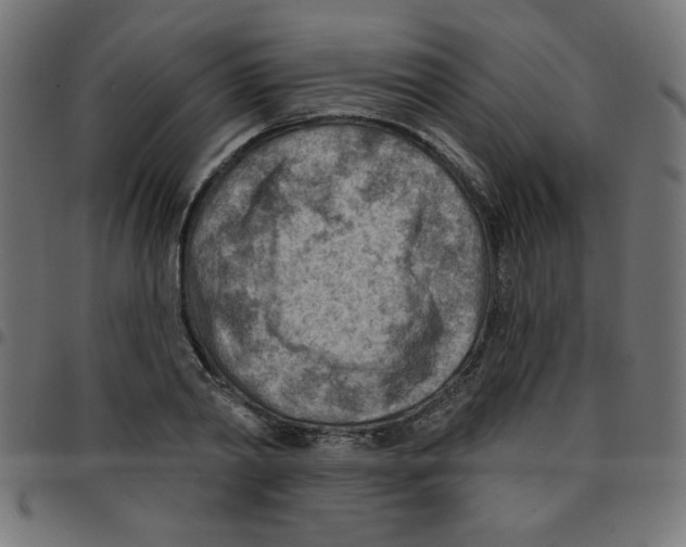 X0000096950790200803071027