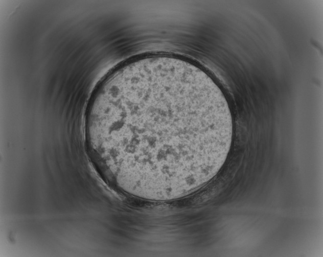 X0000096950791200803071027