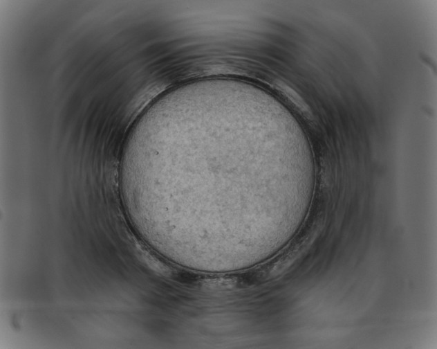 X0000096950793200803071027