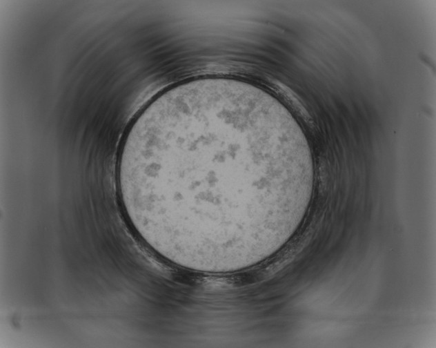 X0000096950794200803071027