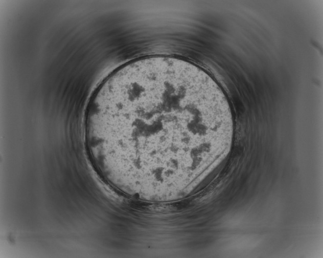 X0000096950795200803071027