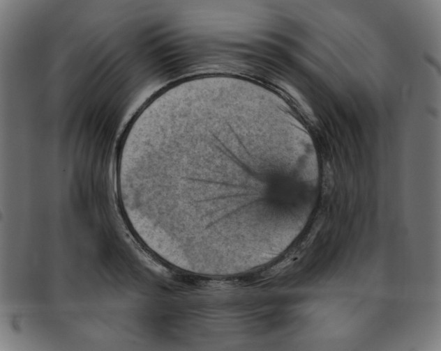 X0000096950796200803071027