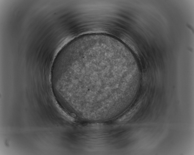 X0000096950797200803071027