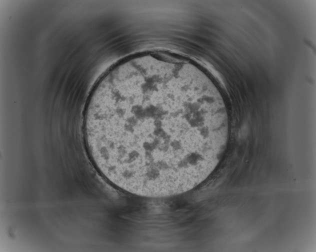 X0000096950799200803071027