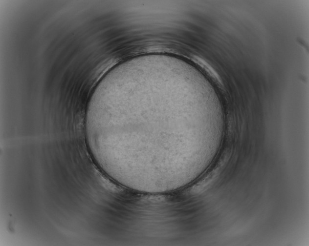 X0000096950801200803071027