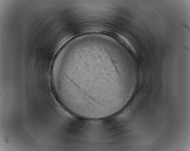 X0000096950802200803071027