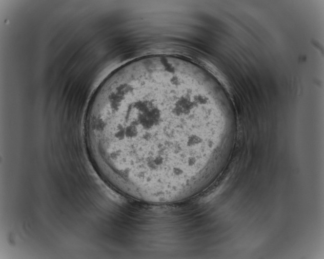 X0000096950803200803071027