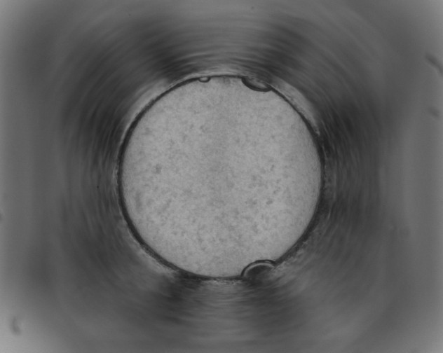 X0000096950805200803071027