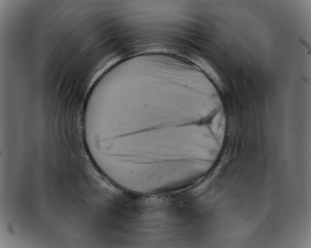 X0000096950806200803071027