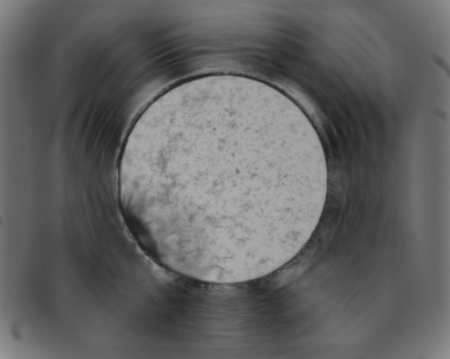 X0000096950807200803071027