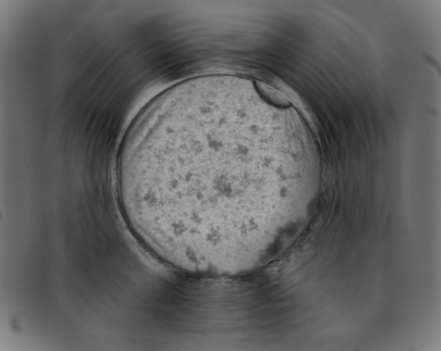 X0000096950811200803071027