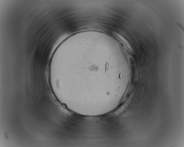X0000096950812200803071027
