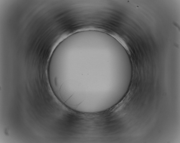X0000096950813200803071027