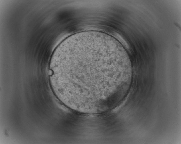 X0000096950814200803071027