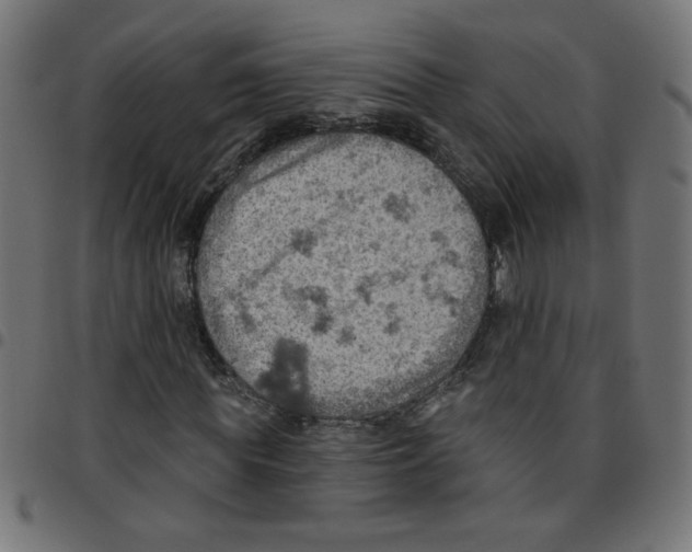 X0000096950819200803071026
