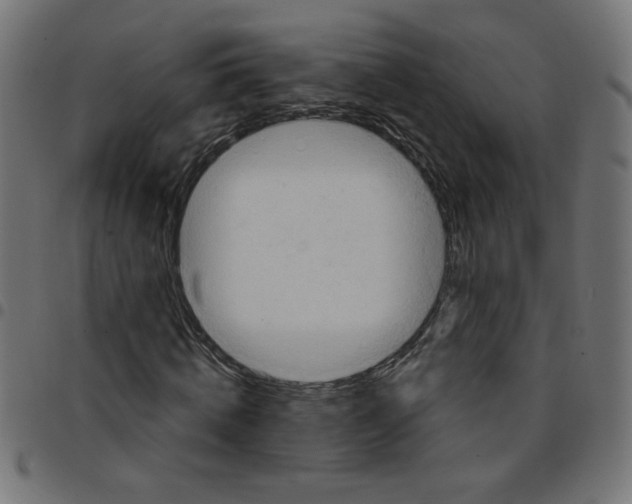 X0000096950820200803071026