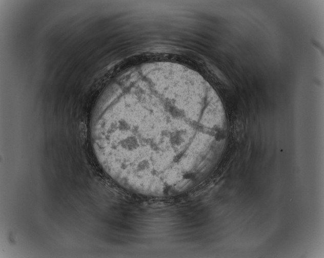 X0000096950821200803071026