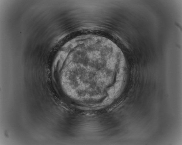 X0000096950822200803071026