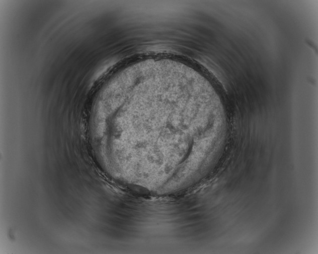 X0000096950823200803071026