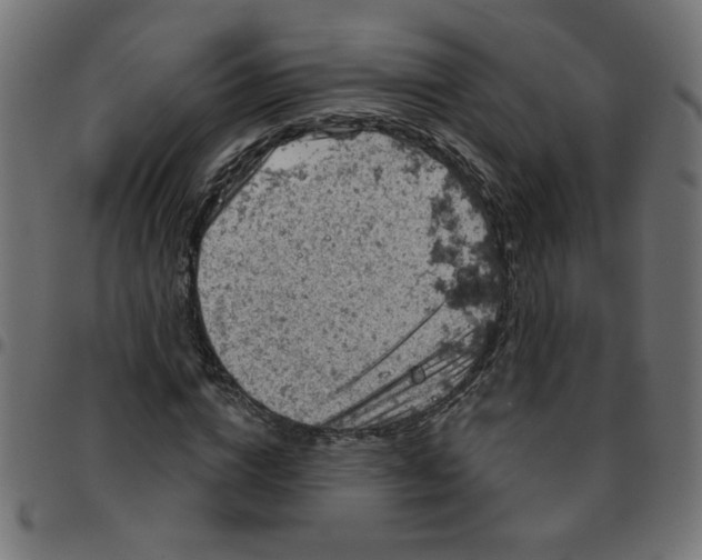 X0000096950824200803071026