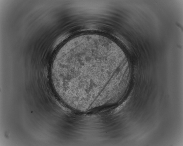 X0000096950826200803071026
