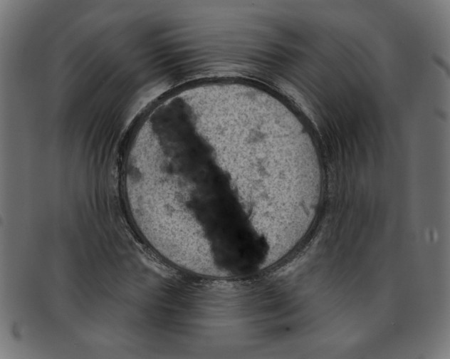 X0000096950827200803071026