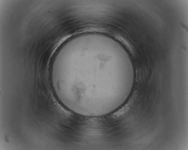 X0000096950828200803071026