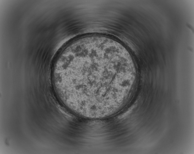 X0000096950830200803071026