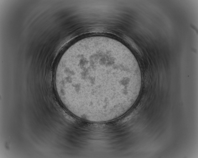 X0000096950831200803071026