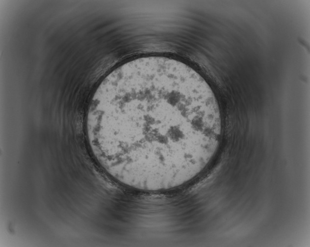 X0000096950833200803071026