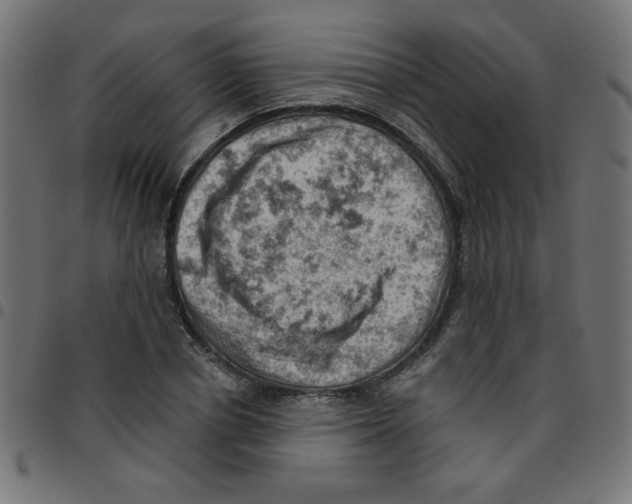 X0000096950834200803071026