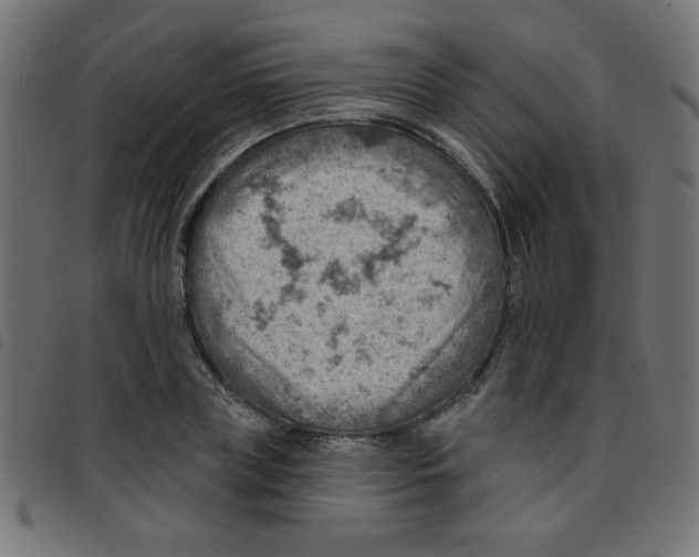 X0000096950835200803071026