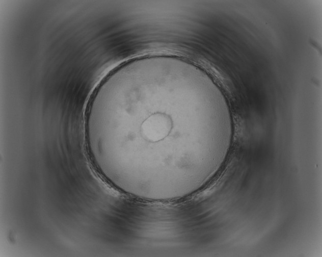 X0000096950836200803071026